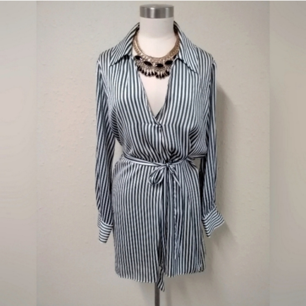 Stunning Zara long sleeve silky blouse